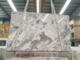Polished Arabecato Marble Slabs&Tiles Marble Flooring&Walling Countertop