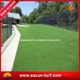 China Cheap Indoor and Outdoor Fake Plastic Grass