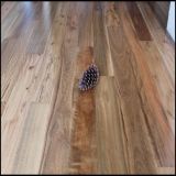 Solid Spotted Gum Hardwood Flooring