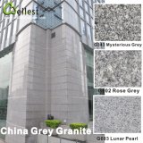 Grey Granite Polished and Flamed Tile for Wall Cladding and Floor