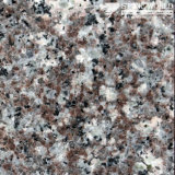 Polished Misty Brown G664 Granite Tiles for Flooring & Wall (MT015)