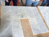 China New Natural Stone Polished White Marble Wall Flooring Tiles Price