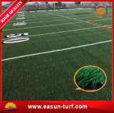 Biggest Manufacturer Artificial Grass Carpet for Football