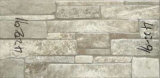 200X400mm Building Material Matt Glazed Extreior Ceramic Tile (42291)