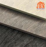 New Inkjet Rustic Porcelain Floor Tile Matte Finish (JN6210G)