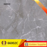 600X600mm Grey Rustic Tile Ceramic Floor Wall Tile (66022C)