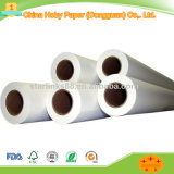 Specialty Paper Type Tracing Paper Use Digital Tachograph