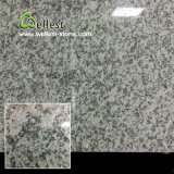 China Good Price White/Grey Series G602 Granite Polished Tile for Floor/Wall Cladding