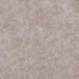600X600mm Pure Color Low Absorption Rustic Tile