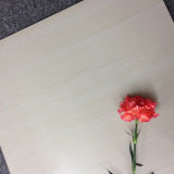 Flowers Polished Wall and Floor Tile