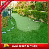SGS Approved Landscaping Indoor and Outdoor Artificial Grass