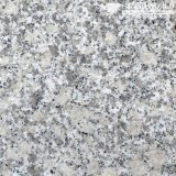 Polished Silver Cloud G602 Granite Tiles for Flooring & Wall (MT010)