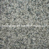G623 Granite Polished Tile for Floor/ Wall Cladding