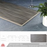 Ceramic Floor Tile Building Material Rustic Tiles (VRK6123, 300X600mm, 600X600mm)