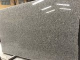 Grey Star Granite Slabs&Tiles Granite Flooring&Walling