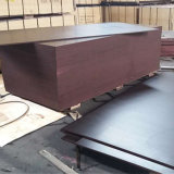 Brown Poplar Core Film Faced Waterproof Shuttering Wood (21X1220X2440mm)