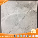 Semi Matt modern Style Rustic Porcelain Floor Tile (JB6060D)