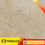 New 600*600 Style Glazed Floor Tile (PM60104)