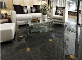 Black Color Pulate Polished Porcelain Floor Tile 800X800mm