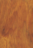 8.3mm HDF Laminated Flooring Dark Oak Color (5568)